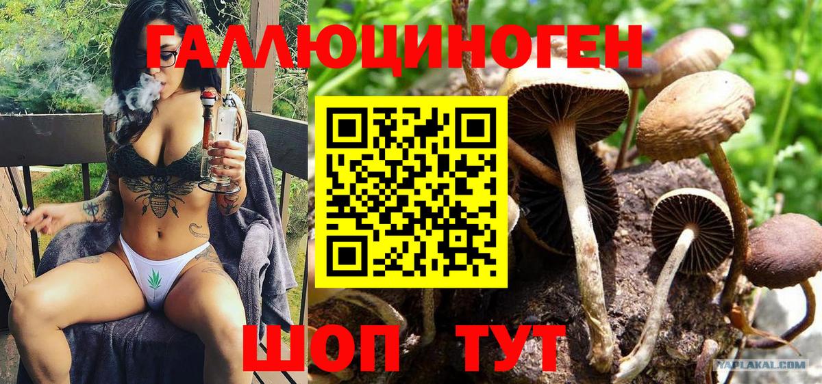 Гусев  Псилоцибиновые грибы ЛСД  закладка  Вход с VPN  Галлюциногенные грибы Magic Shrooms 